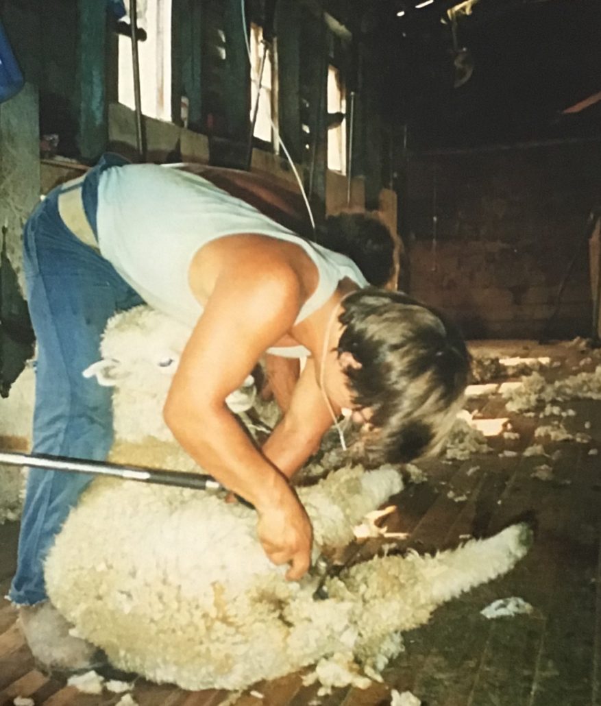 Duncan shearing